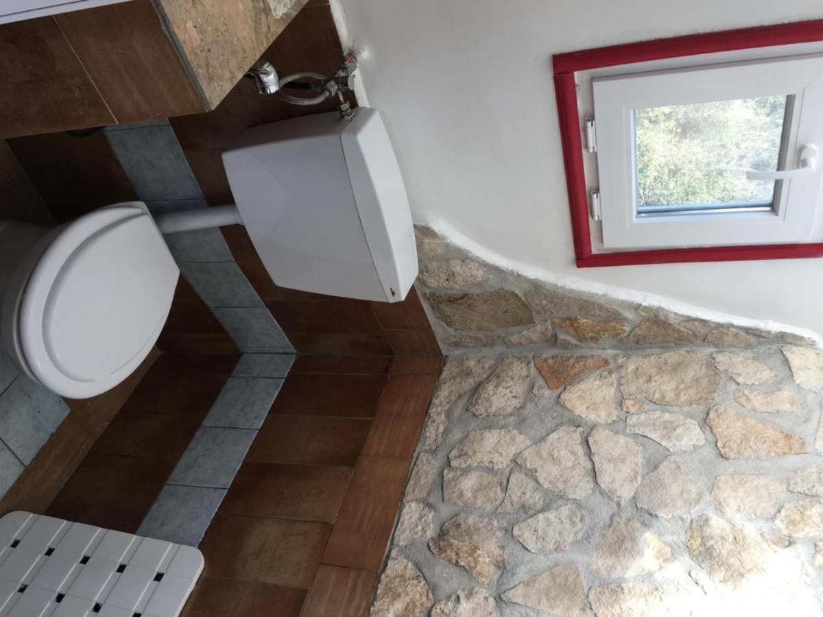 Camilla House Bed and Breakfast Santa Marinella Buitenkant foto